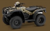 2010 Honda FourTrax Foreman 4x4 photo